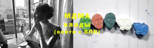 прущие грибы Сосновый Бор