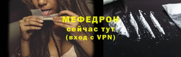прущие грибы Сосновый Бор