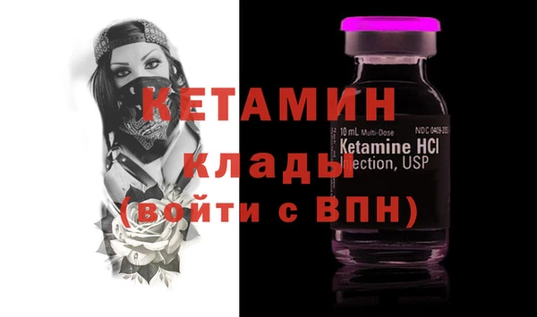 прущие грибы Сосновый Бор