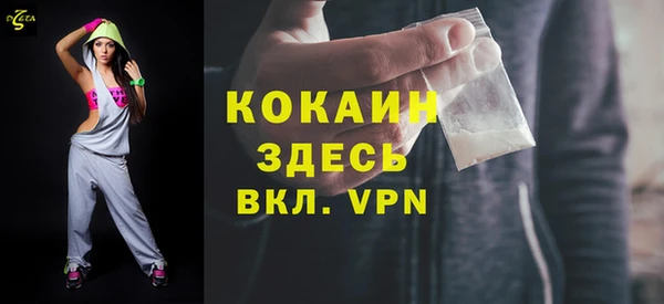 прущие грибы Сосновый Бор