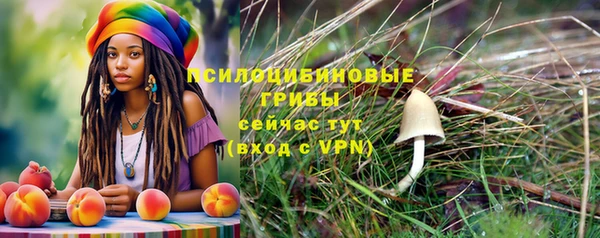 прущие грибы Сосновоборск
