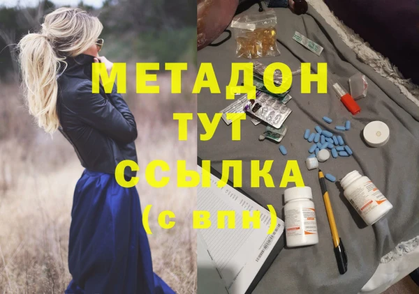 прущие грибы Сосновый Бор