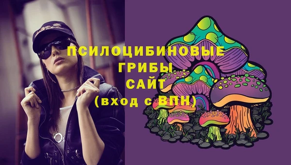 прущие грибы Сосновый Бор