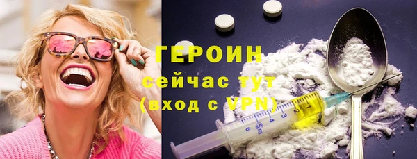 прущие грибы Сосновый Бор