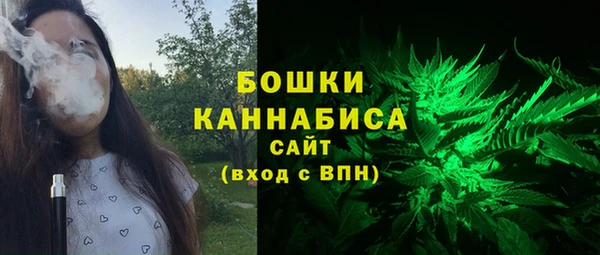 прущие грибы Сосновый Бор
