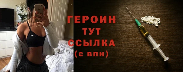 прущие грибы Сосновый Бор